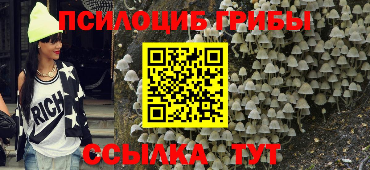 Псилоцибиновые грибы GOLDEN TEACHER Большой Камень