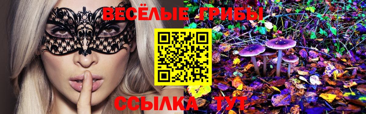 Галлюциногенные грибы Magic Shrooms  Псилоцибиновые грибы Magic Shrooms  Большой Камень  Вход с VPN 